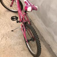 Bicicletta bambina 20