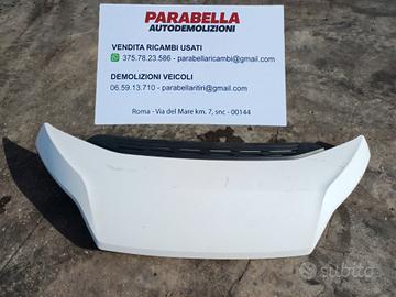 Cofano anteriore per Fiat Ducato 2019