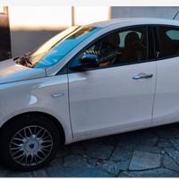 Lancia ypsilon  5 porte color  crema