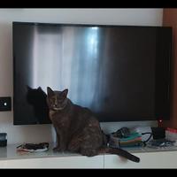 smart tv akai 45 pollici