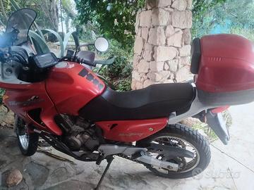 Honda Transalp 650  CC  del 28\06\2000