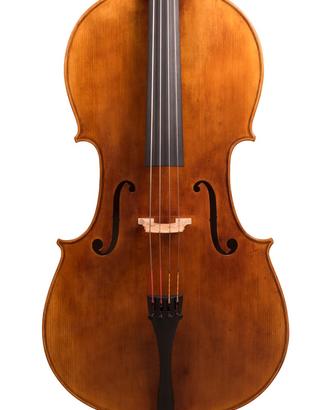 Violoncello di liuteria cremonese
