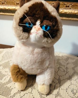 peluche    gatto
