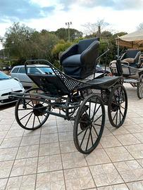 Carrozza Marathon da gara (059)