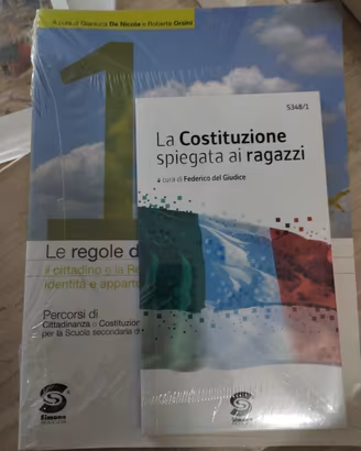 la costituzione spiegata ai ragazzi f del giudice