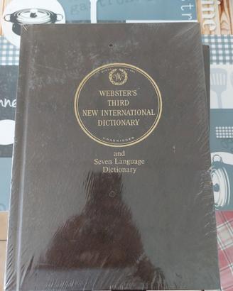 webster s third new international dictionary