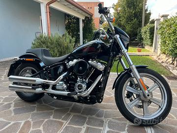 Harley davidson Softail 2024