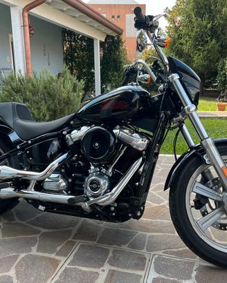 Harley davidson Softail 2024