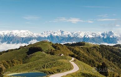 Terreno a bosco e prato