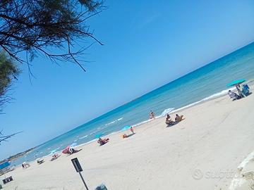 Dal 29 agosto in poi casa vacanza Salento puglia