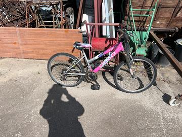 Bicicletta Olmo da 24