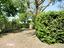 Immagine 12