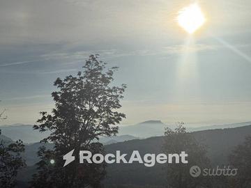 TIZZANO VAL PARMA (PR) - VILLETTA SINGOLA CON TERR