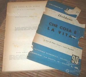 Che cosa è la vita Haldane 1951