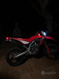 Crf 300 l