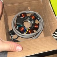 campo magnetico e volano zip