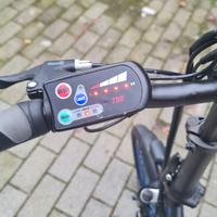 Bici elettrica