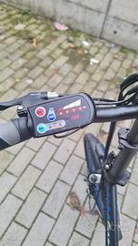 Bici elettrica
