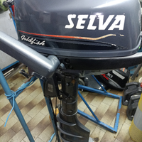 Seva Goldfish