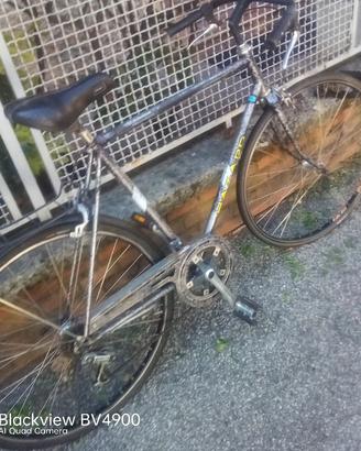 bici da strada 28''  12 rapporti