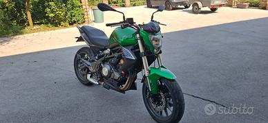 Benelli bn 302 - Anno 2016