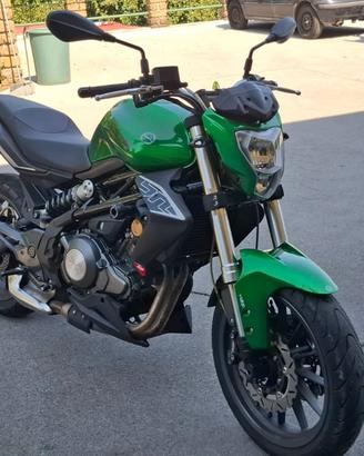 Benelli bn 302 - Anno 2016