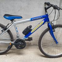mountain bike