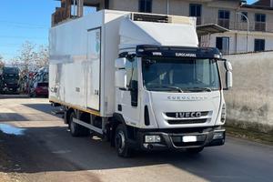 Eurocargo 100e19 frigo e ped mt 5.42 e6 frc 2026