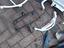Immagine 12