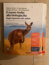 Libri superiori, liceo scientifico