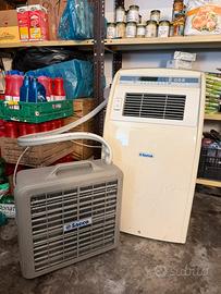 Condizionatore portatile Saeco Freezing 110E