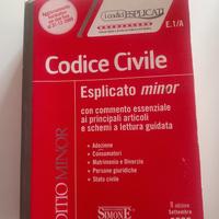 Codice civile Simoni esplicato minor anno 2009