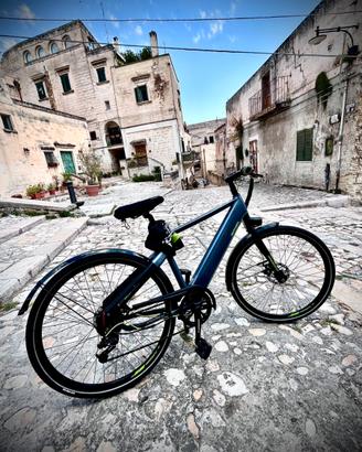 Bicicletta Armony Mod.MILANO