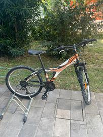 Bicicletta mountain bike