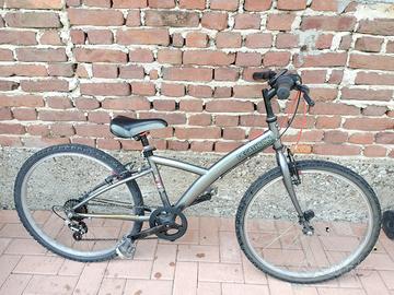 Mtb  bbino