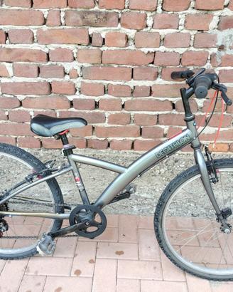 Mtb  bbino