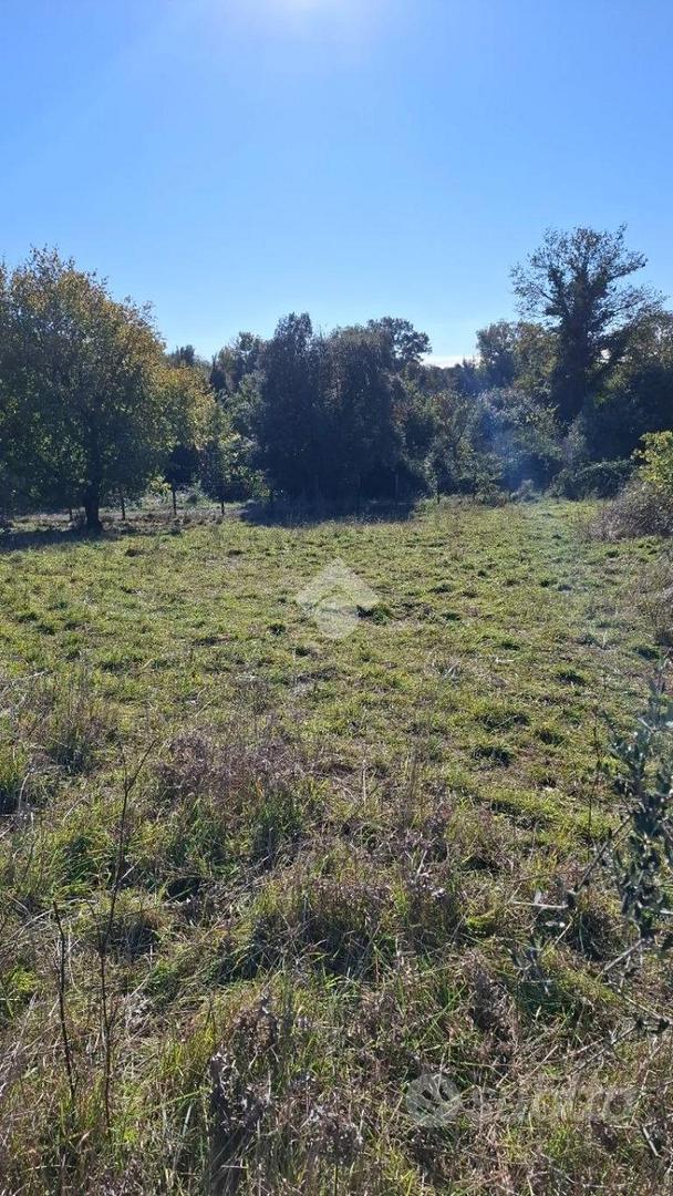 TER. AGRICOLO A TREVIGNANO ROMANO - Vista 3