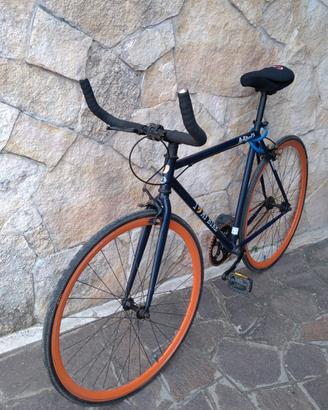 bicicletta da uomo