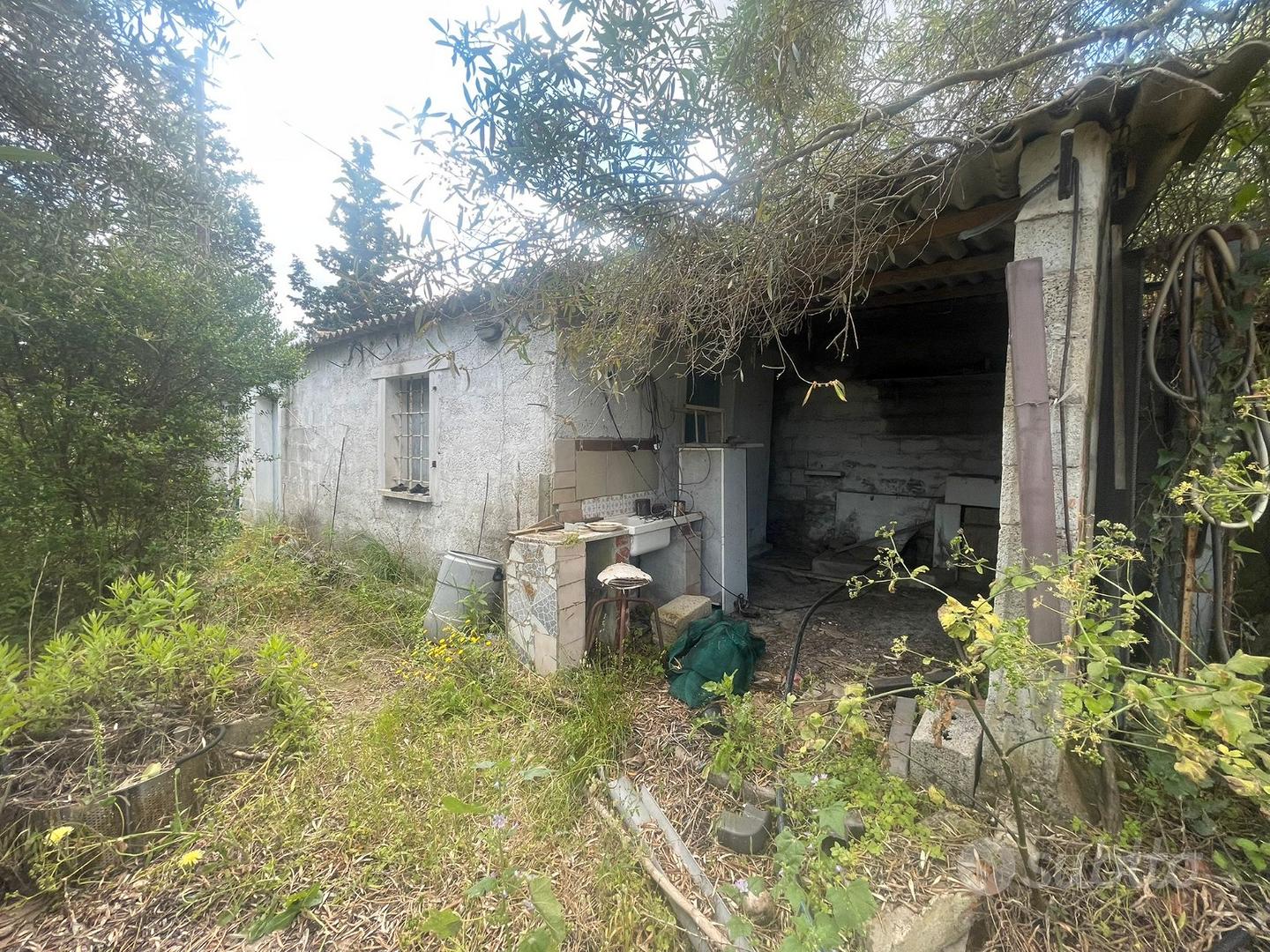 Guspini - Lotto agricolo con Ricovero attrezzi - Vista 5