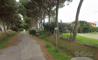 Azienda Agricola - Grosseto