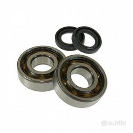 Kit revisione albero motore per Peugeot Ludix 50