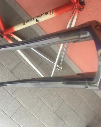 Telaio corsa Rauler