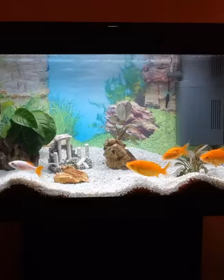Acquario Juwel Primo 60 LED + Mobile + Accessori