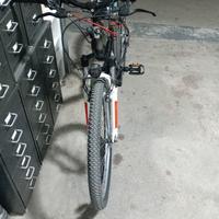 bicicletta elettrica 