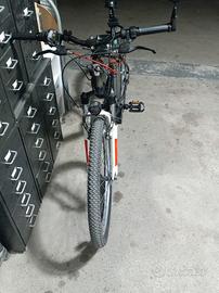 bicicletta elettrica 