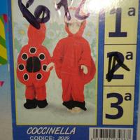 Vestito di carnevale da coccinella