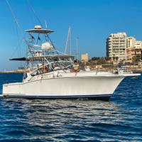 Luhrs 31 Open Fisherman (Natante)