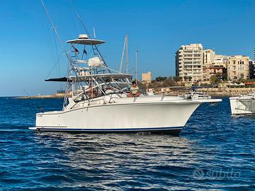 Luhrs 31 Open Fisherman (Natante)