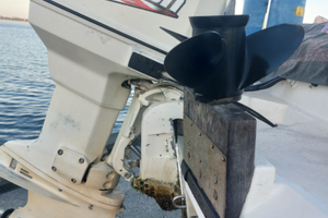 Elica acciaio johnson evinrude 90 115 omc