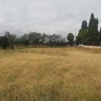 Adiacenze via di Borghesiana, terreno con servizi